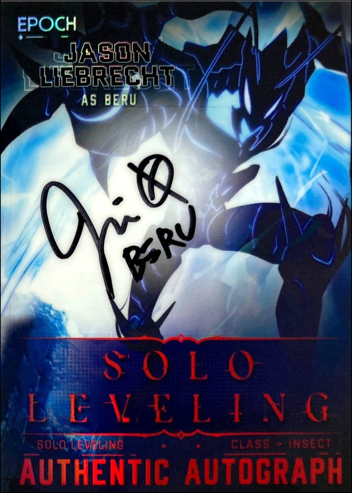 Solo Leveling Sammelkarten Set Con-X – Bild 4