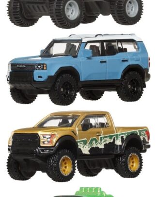 Hot Wheels Premium Die-Cast Fahrzeuge 1/64 Car Culture 976H Sortiment (10)