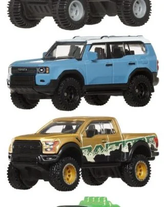 Hot Wheels Premium Die-Cast Fahrzeuge 1/64 Car Culture 976H Sortiment (10)