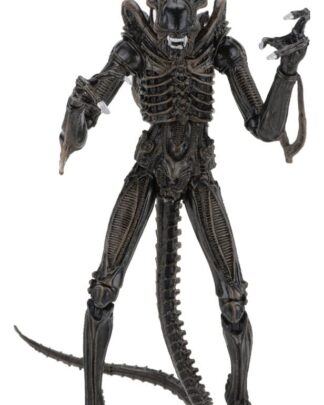 Aliens Ultimate Actionfigur Warrior (1986) Brown 23 cm