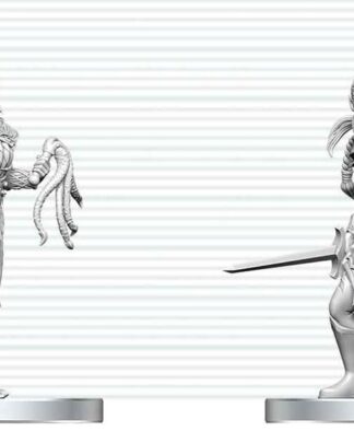 D&D Nolzur's Marvelous Miniatures Minifiguren Drow Elite Warrior & Drow Priestess of Lolth 13 cm