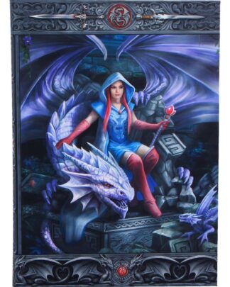 Anne Stokes Notizbuch Dragon Mage A5 18 cm