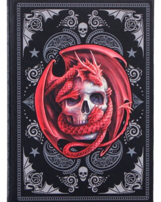 Anne Stokes Notizbuch Skull Embrace A5 18 cm