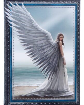 Anne Stokes Notizbuch Spirit Guide A5 18 cm