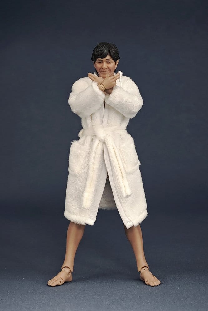 Kato Taka Actionfigur 1/12 15 cm – Bild 2