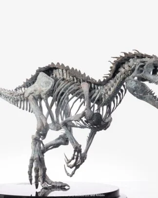Jurassic World Statue 1/24 Indominus Rex Skeleton Bronze 24 cm