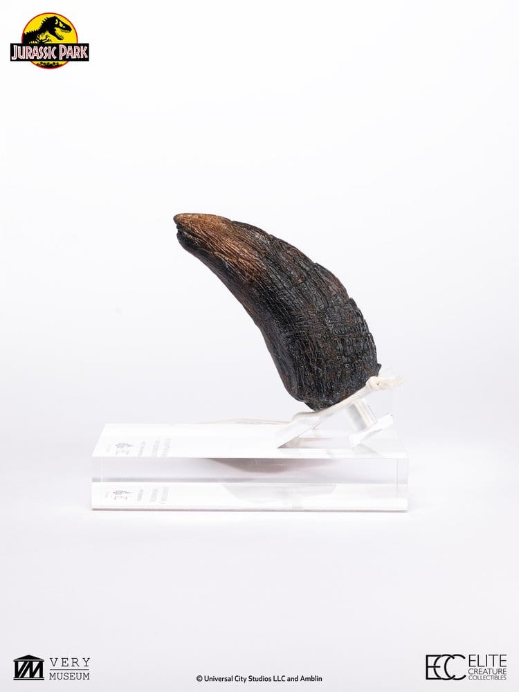 Jurassic Park 1/1 Replik Velociraptor Toenail Type A 11 cm