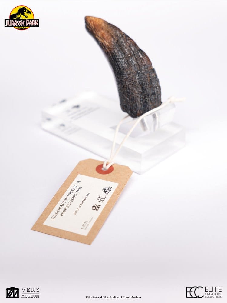 Jurassic Park 1/1 Replik Velociraptor Toenail Type A 11 cm – Bild 2