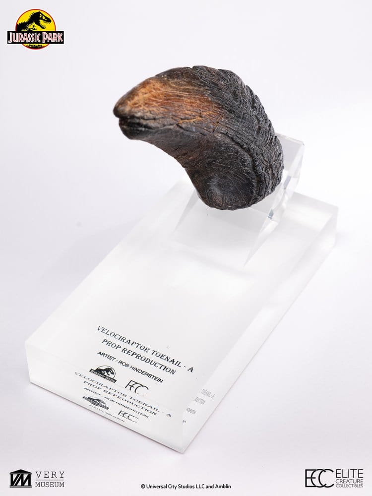 Jurassic Park 1/1 Replik Velociraptor Toenail Type A 11 cm – Bild 3
