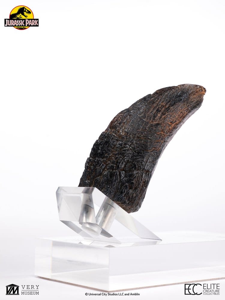 Jurassic Park 1/1 Replik Velociraptor Toenail Type A 11 cm – Bild 6