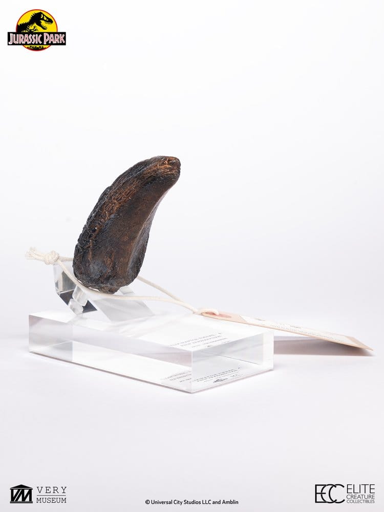 Jurassic Park 1/1 Replik Velociraptor Toenail Type A 11 cm – Bild 7