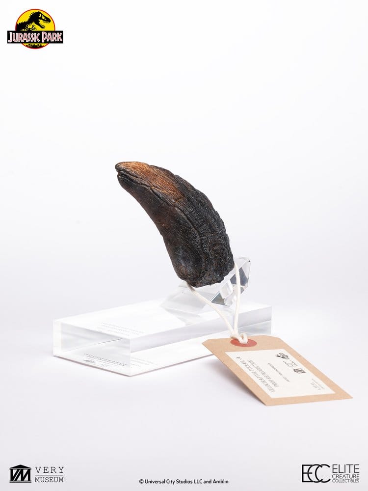 Jurassic Park 1/1 Replik Velociraptor Toenail Type A 11 cm – Bild 8