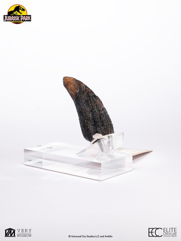 Jurassic Park 1/1 Replik Velociraptor Toenail Type A 11 cm – Bild 9
