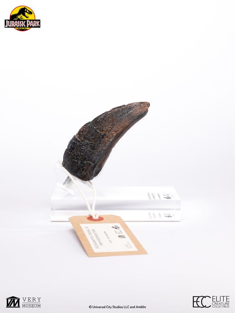 Jurassic Park 1/1 Replik Velociraptor Toenail Type A 11 cm – Bild 10