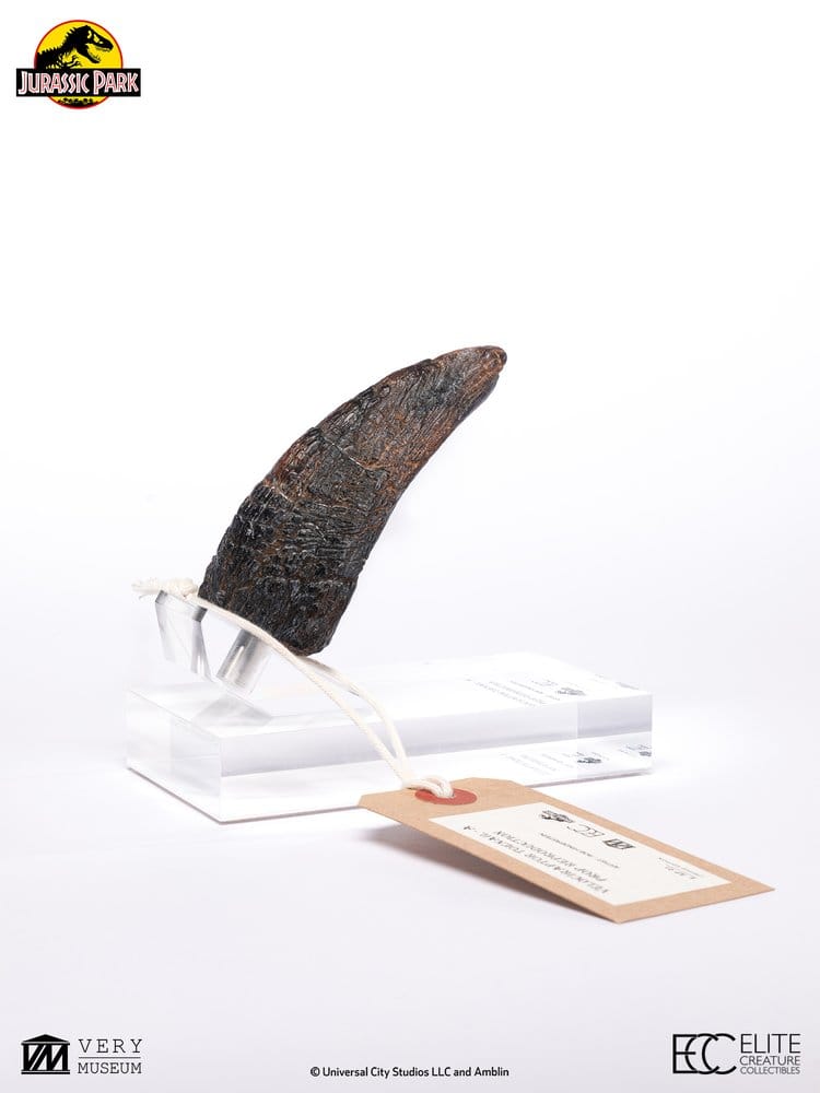 Jurassic Park 1/1 Replik Velociraptor Toenail Type A 11 cm – Bild 11
