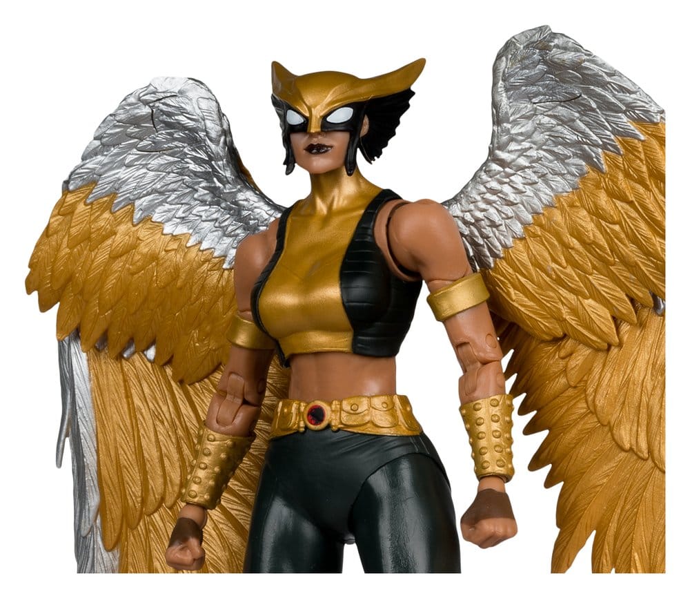 DC Multiverse McFarlane Collector Edition Actionfigur Hawkgirl (Kendra Saunders) 28 cm – Bild 4